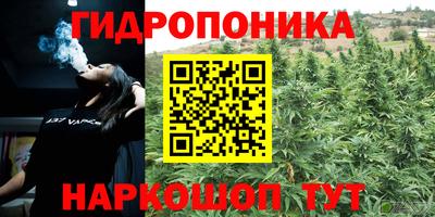 МДПВ Моздок