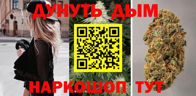 стафф Можга