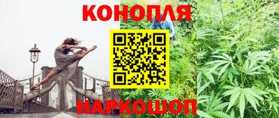 стафф Можга