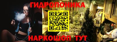 стафф Можга