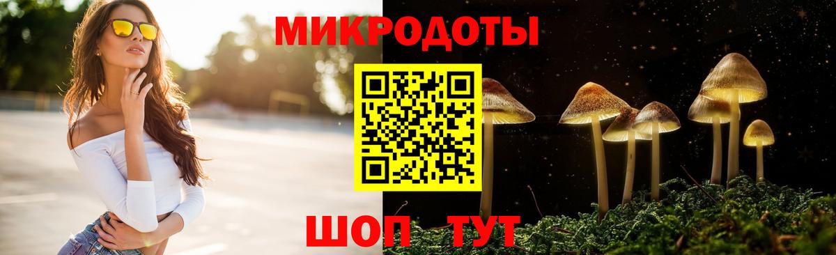 Псилоцибиновые грибы GOLDEN TEACHER  Вход с VPN  Щёлково 
